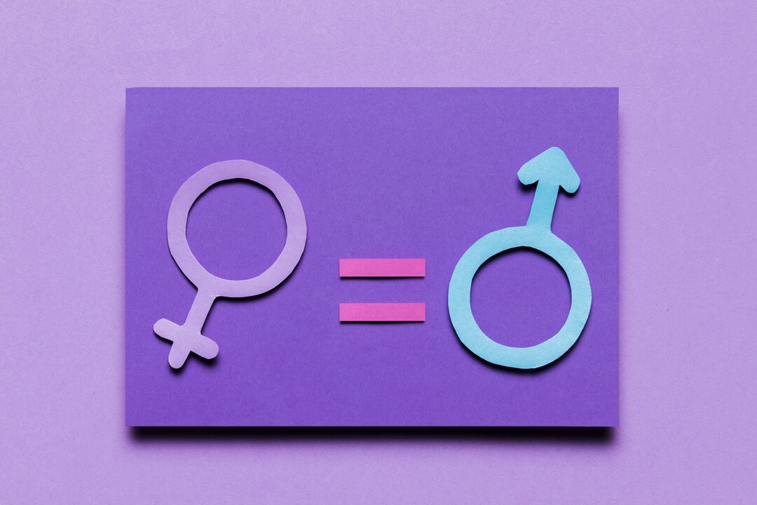 Estudios de Género – igualdad de género