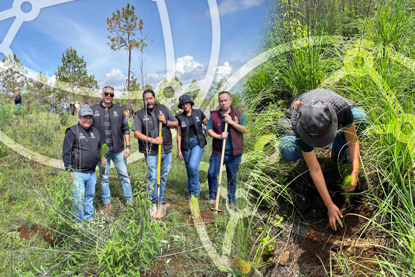 ¡Sumando esfuerzos por un Michoacán más verde!🌱