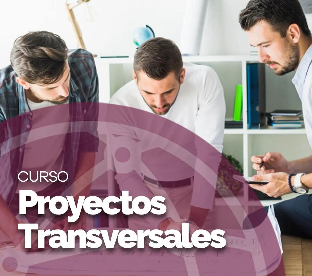 img_curso_Curso-de-Proyectos-Transversales