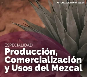 img_Especialidad-en-Produccion-Comercializacion-y-Usos-del-Mezcal