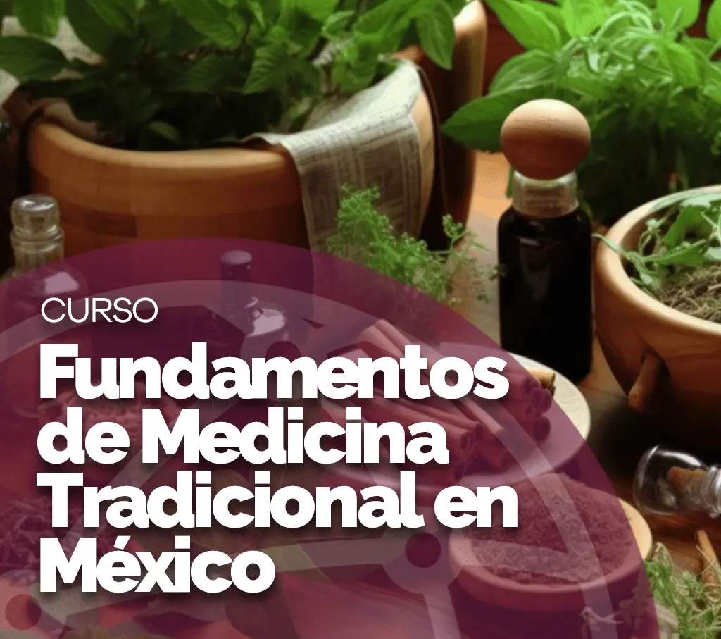 Fundamentos de Medicina Tradicional en México_