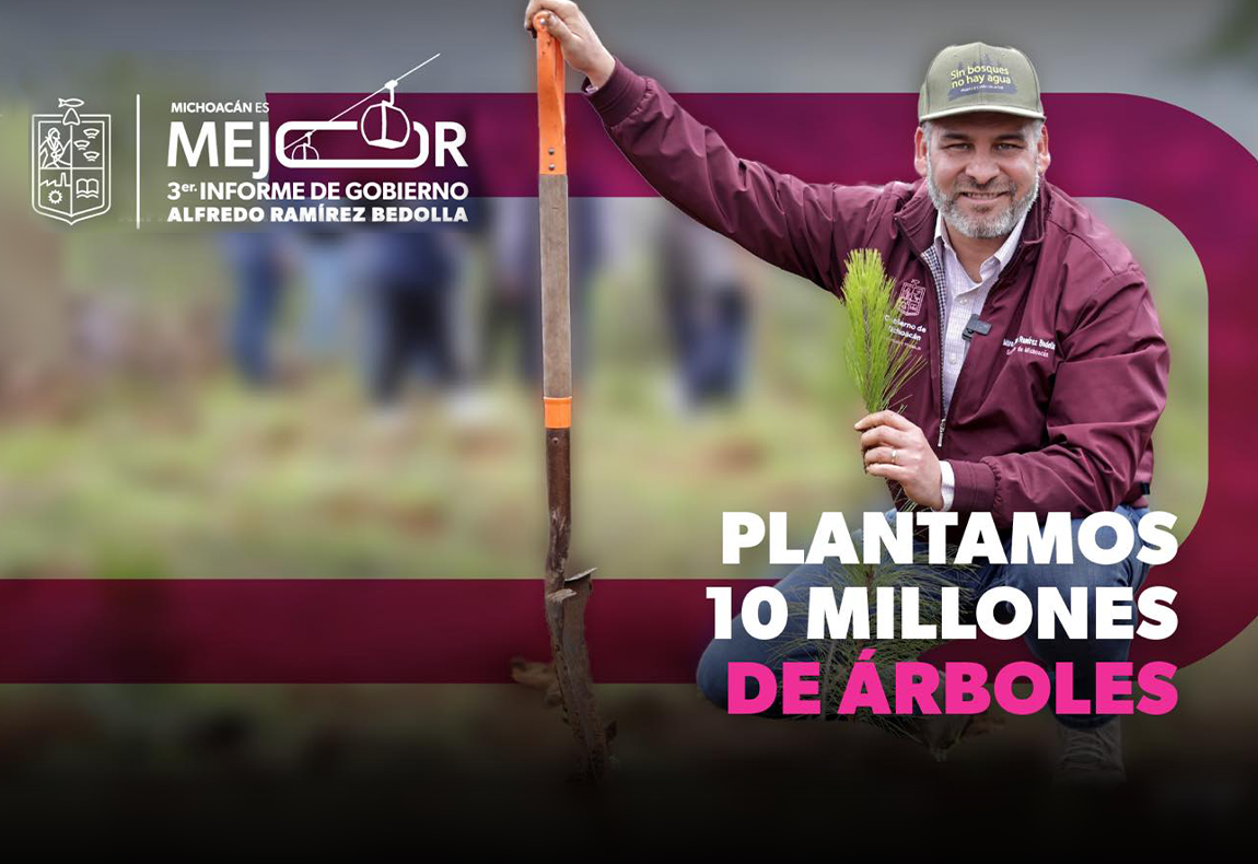 Plantamos 10 millones de árboles